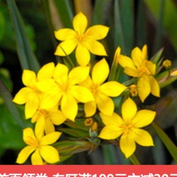 拿去花套现回收商家违法吗